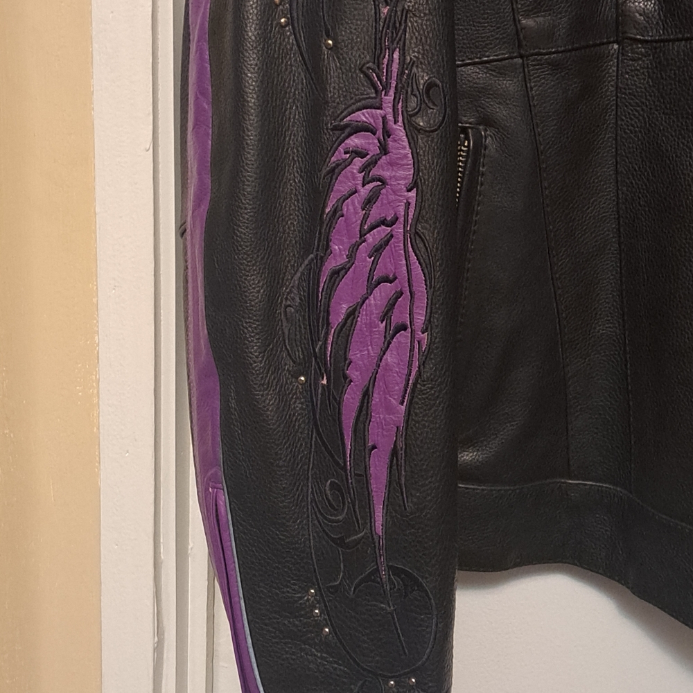 Leather Jacket and Chaps - Picture 4 of 8